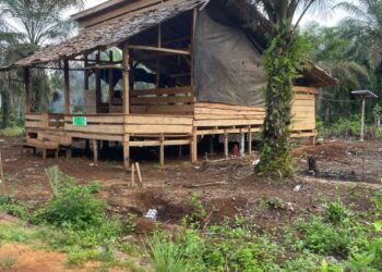PTPN IV Regional 2 Serukan Semua Pihak Tahan Diri dan Tempuh Dialog Damai Menyikapi Situasi Kebun Luwu II