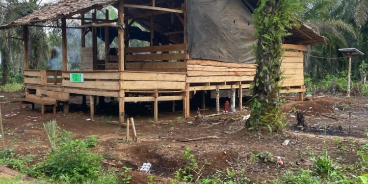 PTPN IV Regional 2 Serukan Semua Pihak Tahan Diri dan Tempuh Dialog Damai Menyikapi Situasi Kebun Luwu II