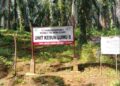Dituding Rampas Tanah Masyarakat, Ini Kronologis Lahan PTPN IV Regional 2 wilayah Angkona di Luwu Timur, Sulawesi Selatan